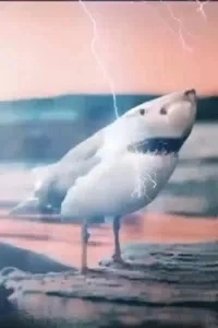 Tralalero Tralala Italian Brainrot character image 2